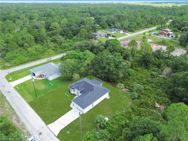 Drone / aerial view of a forest