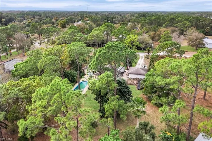 Ariel View