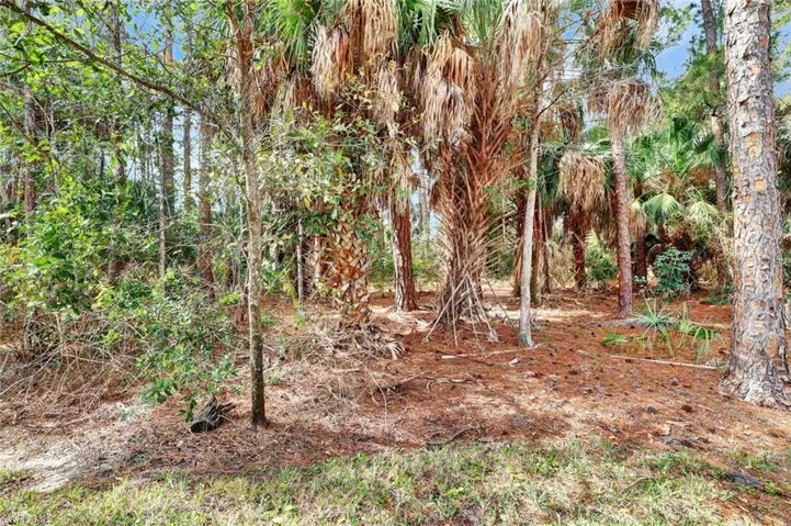 Preserve view