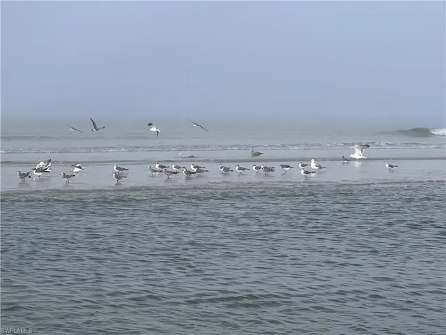 Walking distance to Vanderbilt Beach