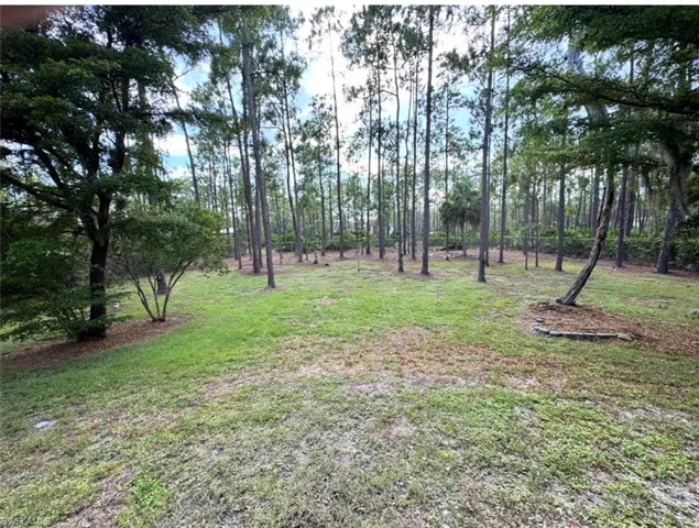 Expansive natural landscape featuring mature trees and lush vegetation