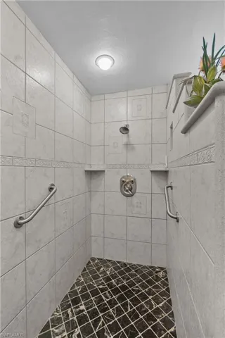 Primary Shower