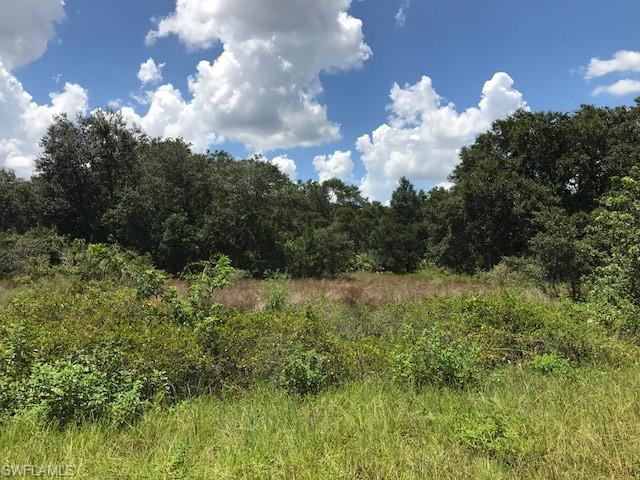1811  Grant  AVE, Lehigh Acres, FL 33972