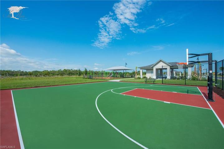Basketball court