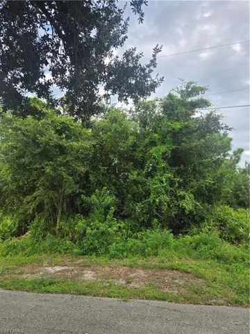 View of nature