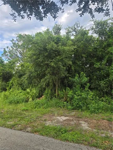 View of undeveloped land