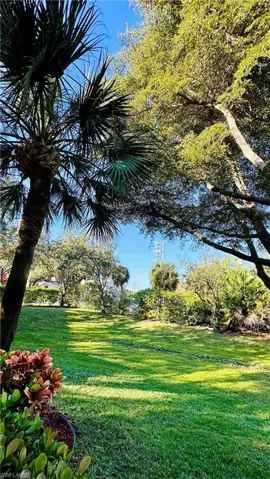 View of green lawn