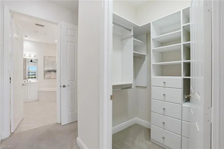 Walk in closet with light colored carpet