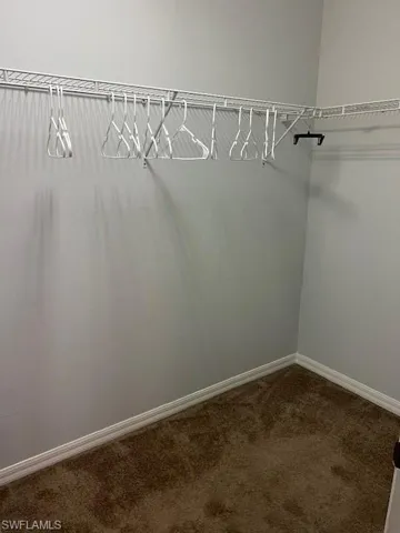 Spacious closet with carpet floors