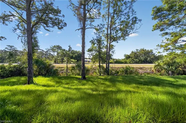 Expansive green space featuring tall trees and natural landscaping