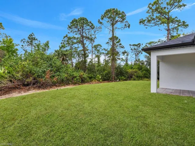 View of grassy yard