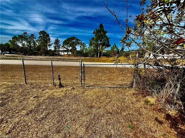 Side gate to the other street. Corner lot.