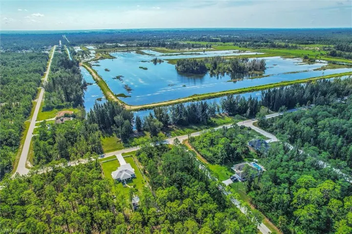Aerial depiction of a residential area surrounded by Frank Mann Preserve Park water features and mature trees