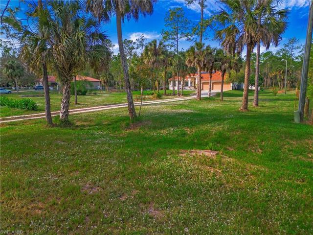 Front Yard