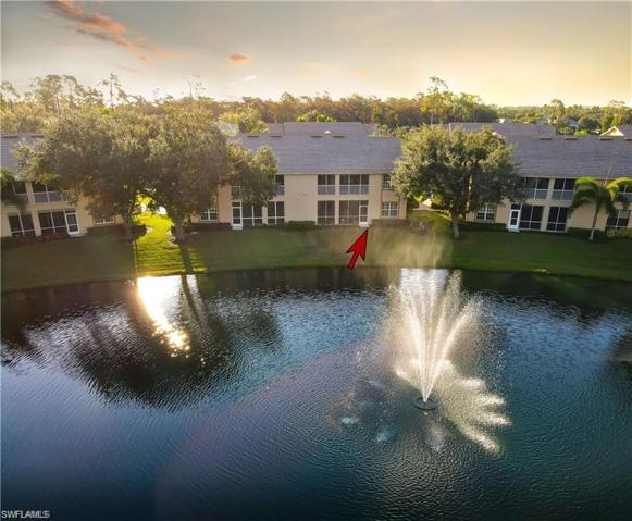 Aerial Lake View