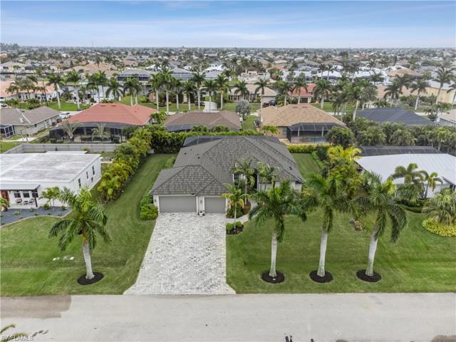 Four majestic palms to greet you!