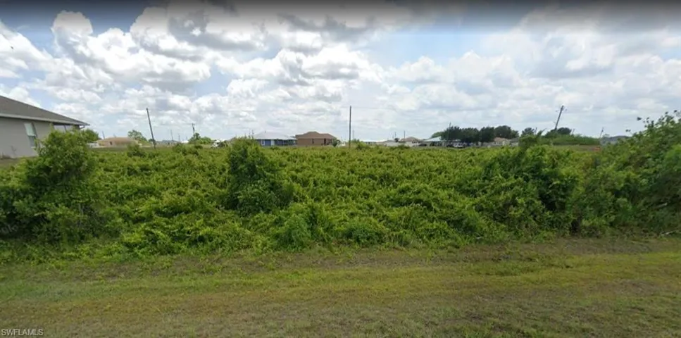 View of local wilderness