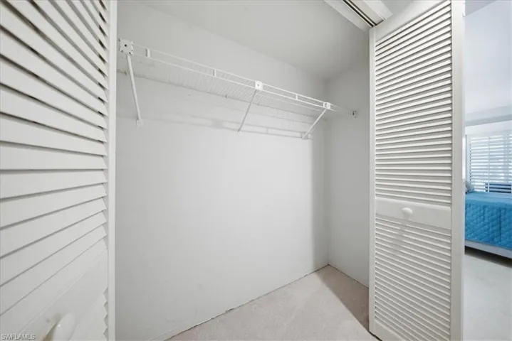 Spacious closet with light carpet