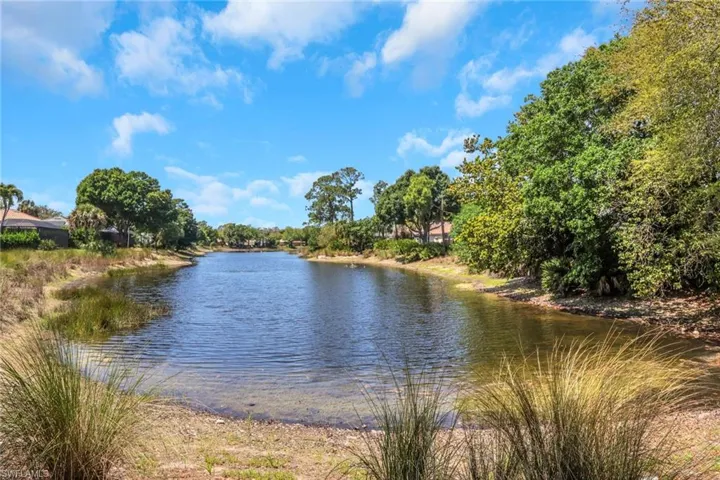 6391  Old Mahogany  CT, Naples, FL 34109