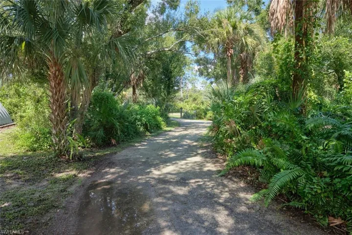 Circular driveway