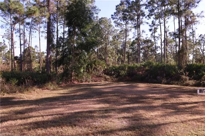 1066 Barnett St E, Lehigh Acres, Florida 33974