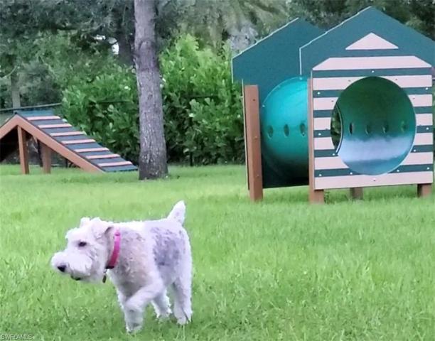 Dog Park