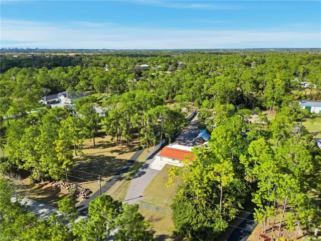 Drone / aerial view of a forest