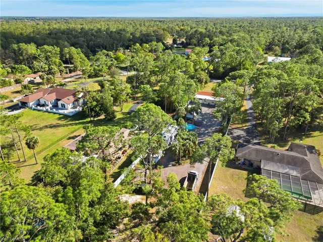Drone / aerial view of a forest