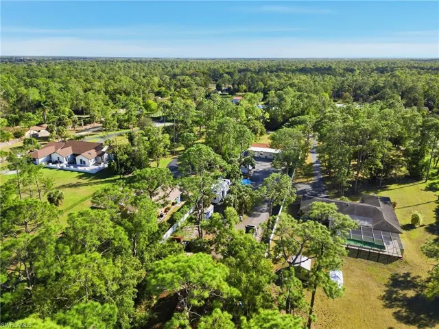 Aerial perspective of suburban area with a forest