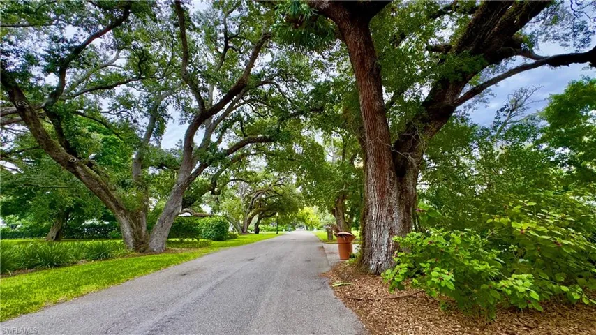 Gorgeous old Live Oaks shade your walk down Shadow Lane