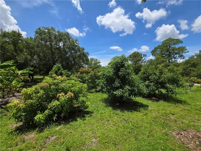 501 Wildwood Ave, Clewiston, Florida 33440