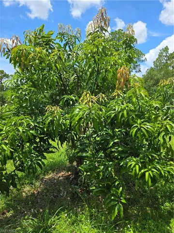 501 Wildwood Ave, Clewiston, Florida 33440