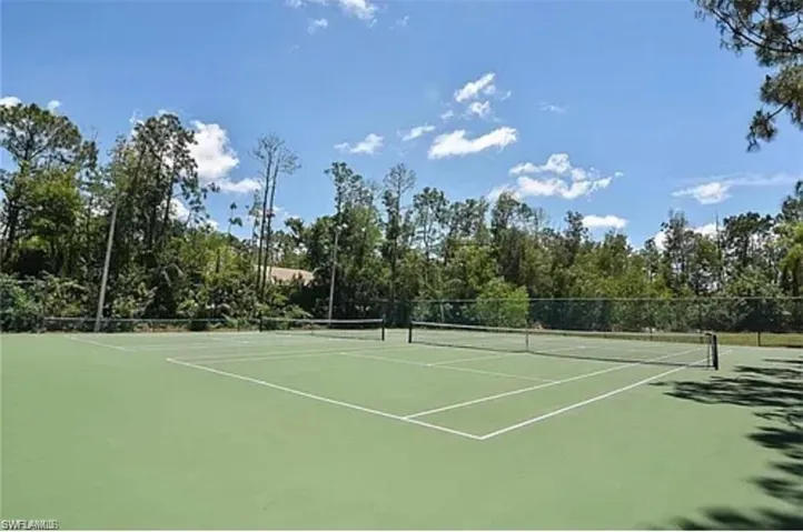Regulation-size tennis court featuring a green playing surface with white lines, a black net, and surrounding chain-link fencing