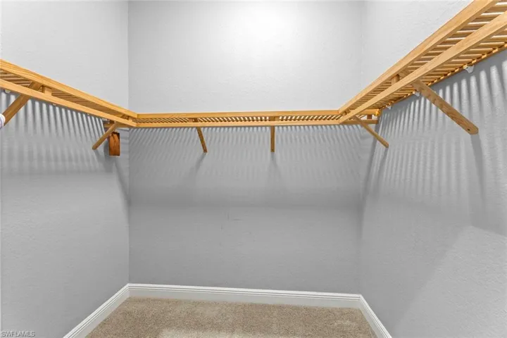 Spacious closet featuring carpet