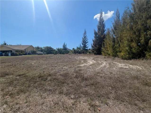 Expansive lot featuring mature trees along the property line and clear skies overhead
