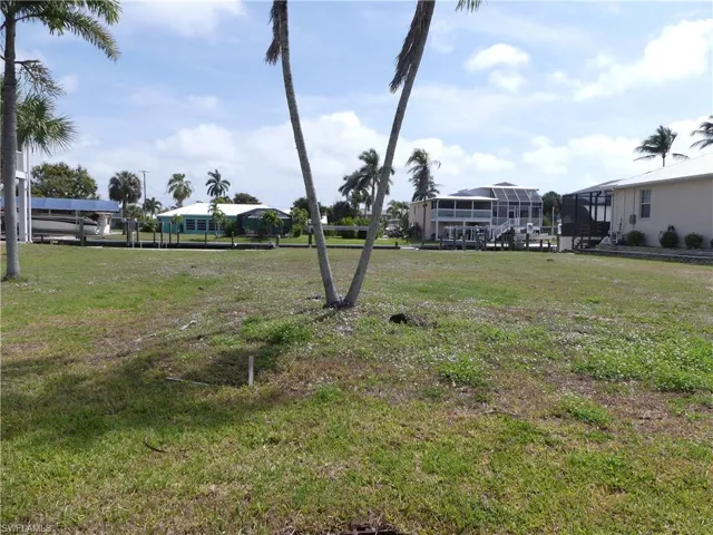 View of grassy yard