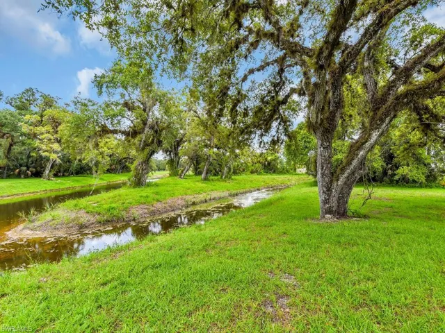 Backs Up To Creek