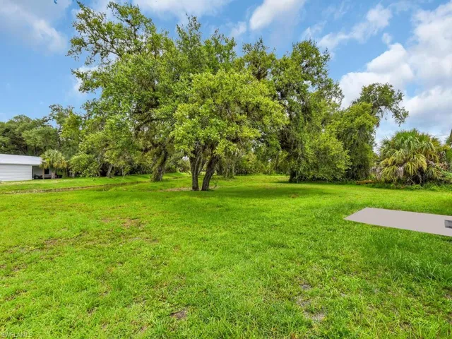 Backyard w/ Room For A Pool