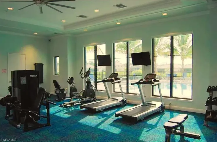Workout area featuring ornamental molding, a ceiling fan, baseboards, carpet, and a raised ceiling