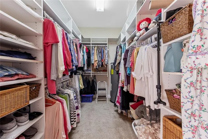 Spacious closet with carpet