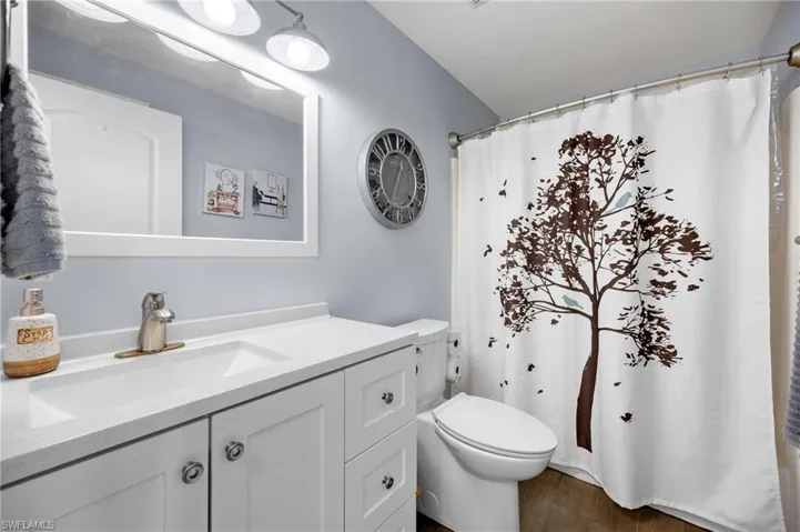 Bathroom featuring vanity, wood finished floors, and a shower with curtain