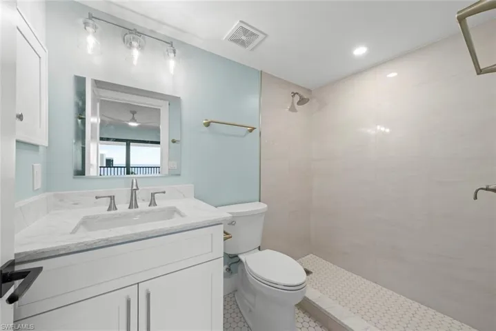 The bathroom features a vanity with a white countertop and sink, a mirror with overhead lighting, a toilet, and a walk-in shower with tiled walls and a hex-tile floor
