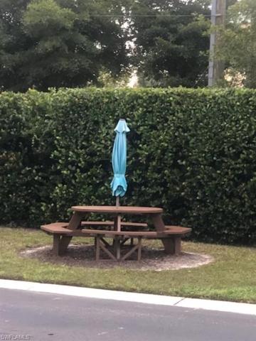 Picnic area near grills