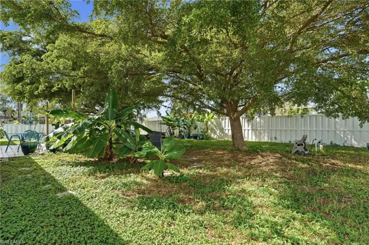 View of fenced backyard