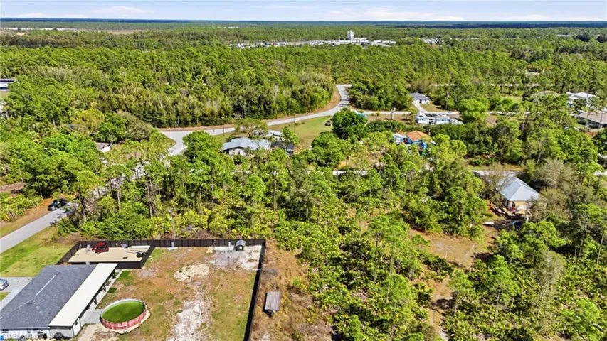 Bird's eye view of a forest
