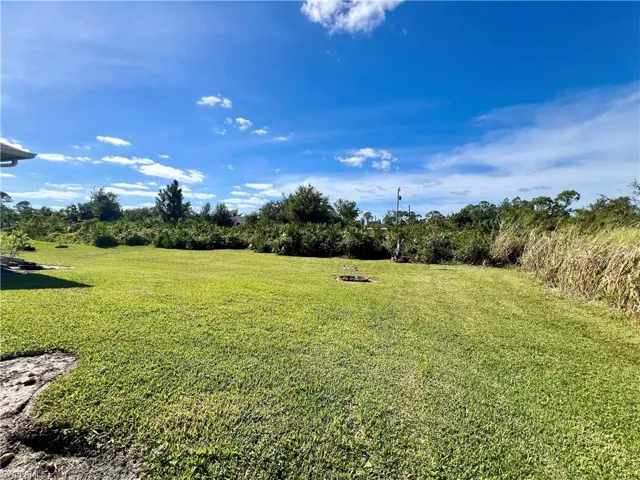 View of backyard