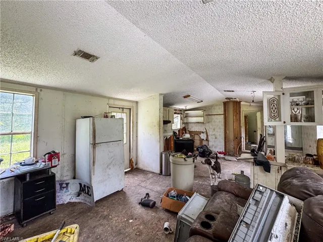 Living area featuring lofted ceiling and a textured ceiling