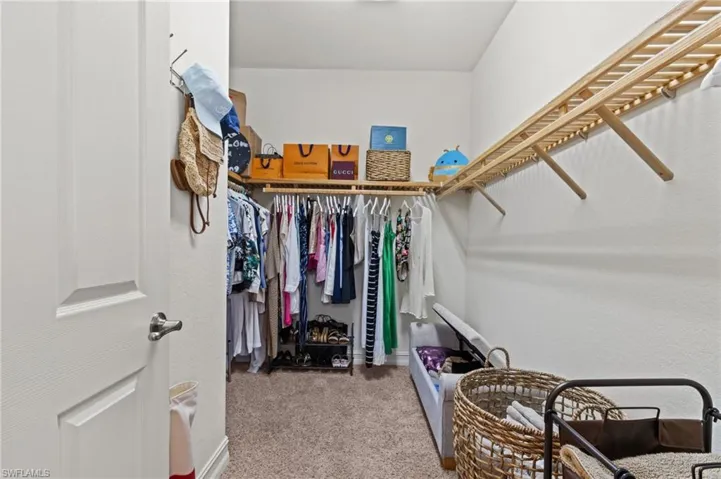 Spacious closet featuring carpet floors