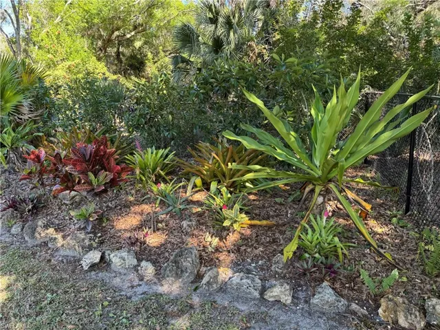 View of front yard