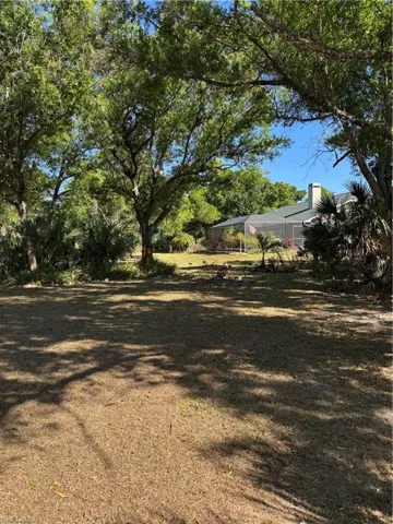 View of grassy yard